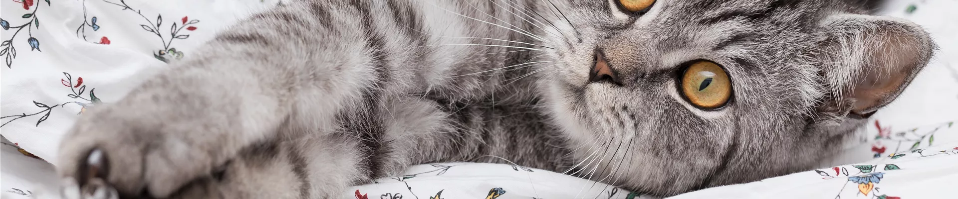 GS584352.jpg GS584352.jpg