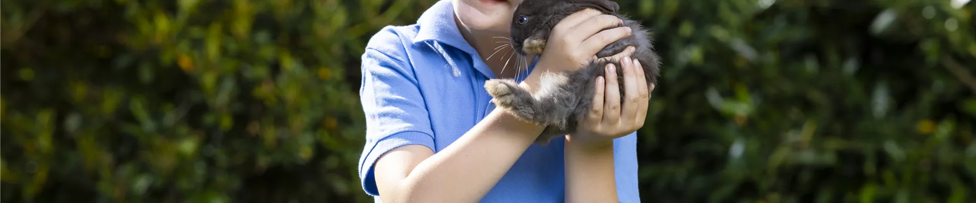 GS586125.jpg GS586125.jpg