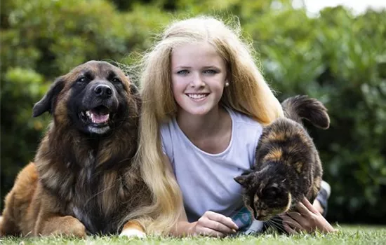 Katzen- und Hundenamen finden Katzen- und Hundenamen finden