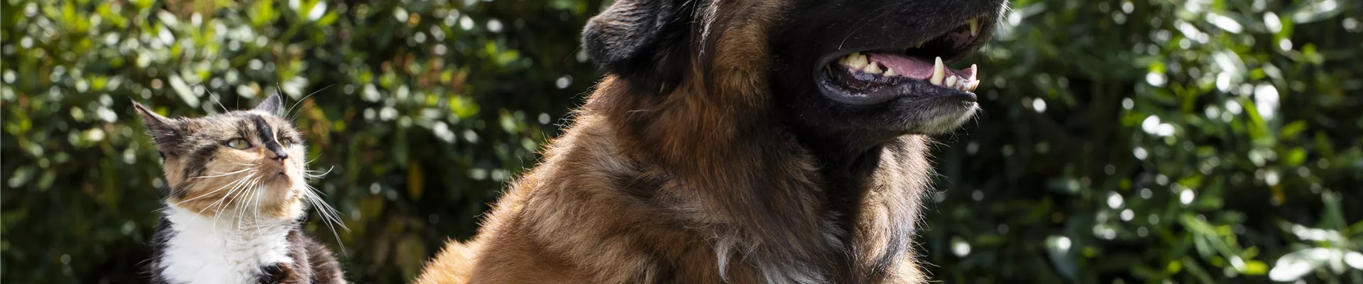 GS585934.jpg GS585934.jpg