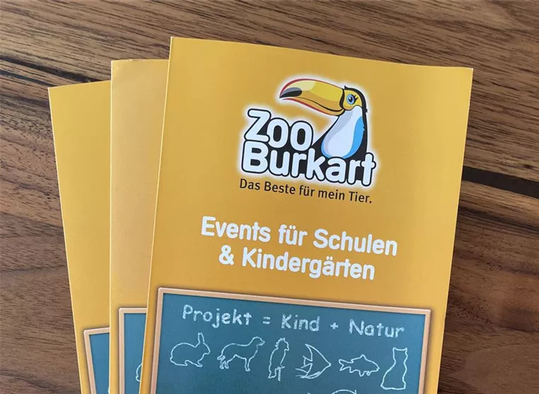 Flyer Schulen & Kindergärten.JPG