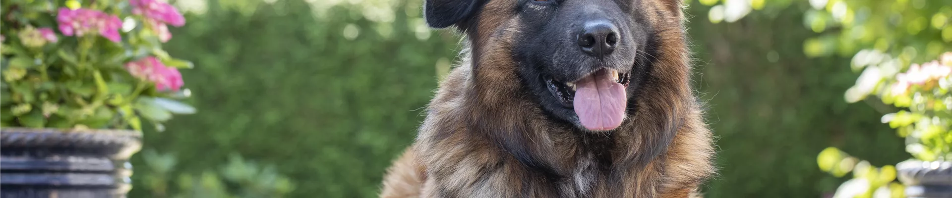 GS585926.jpg GS585926.jpg