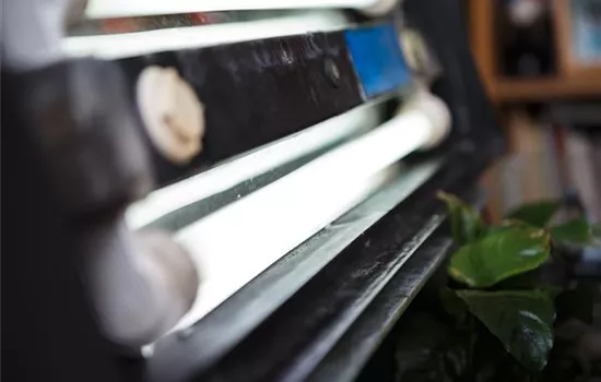 Beleuchtung im Aquarium: LED statt Röhre? Beleuchtung im Aquarium: LED statt Röhre?